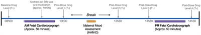 Maternal Serotonin Reuptake Inhibitor Antidepressants Have Acute Effects on Fetal Heart Rate Variability in Late Gestation